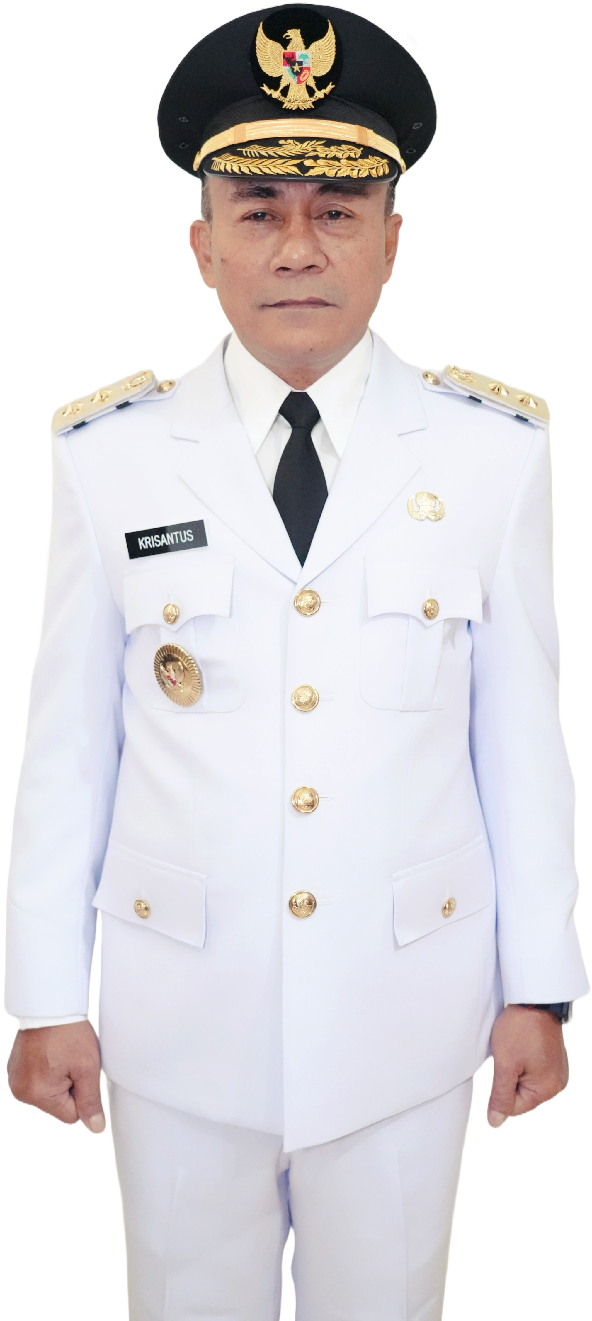 Wakil Gubernur
