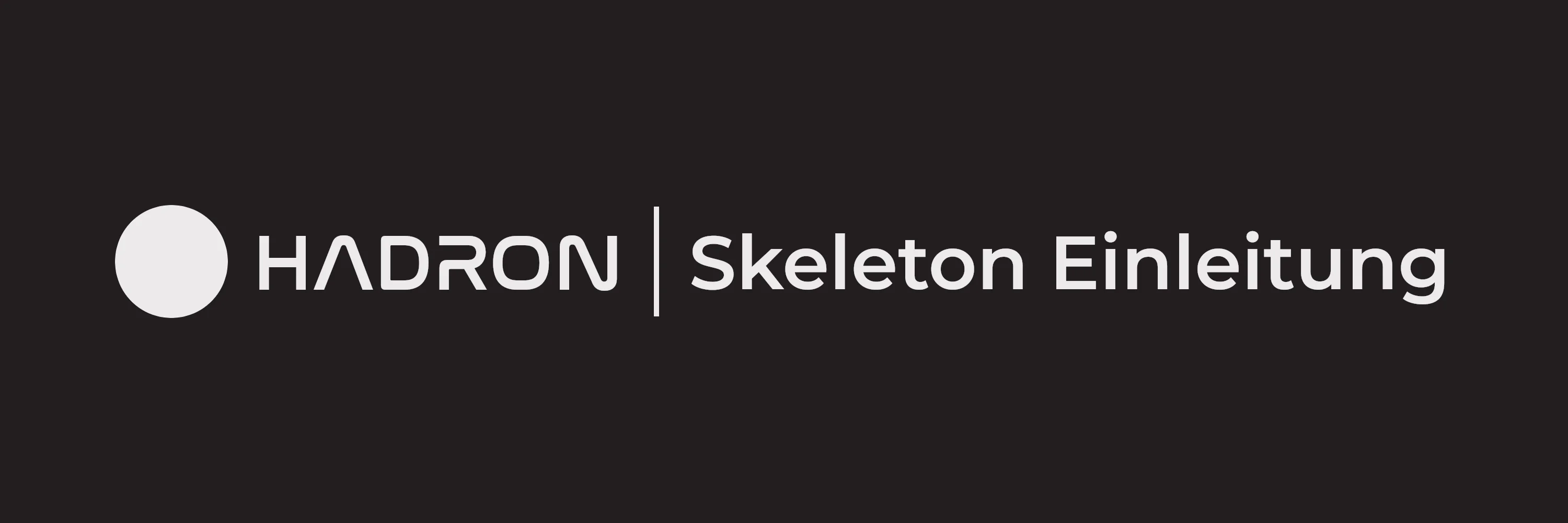 Introduction | Hadron Skeleton