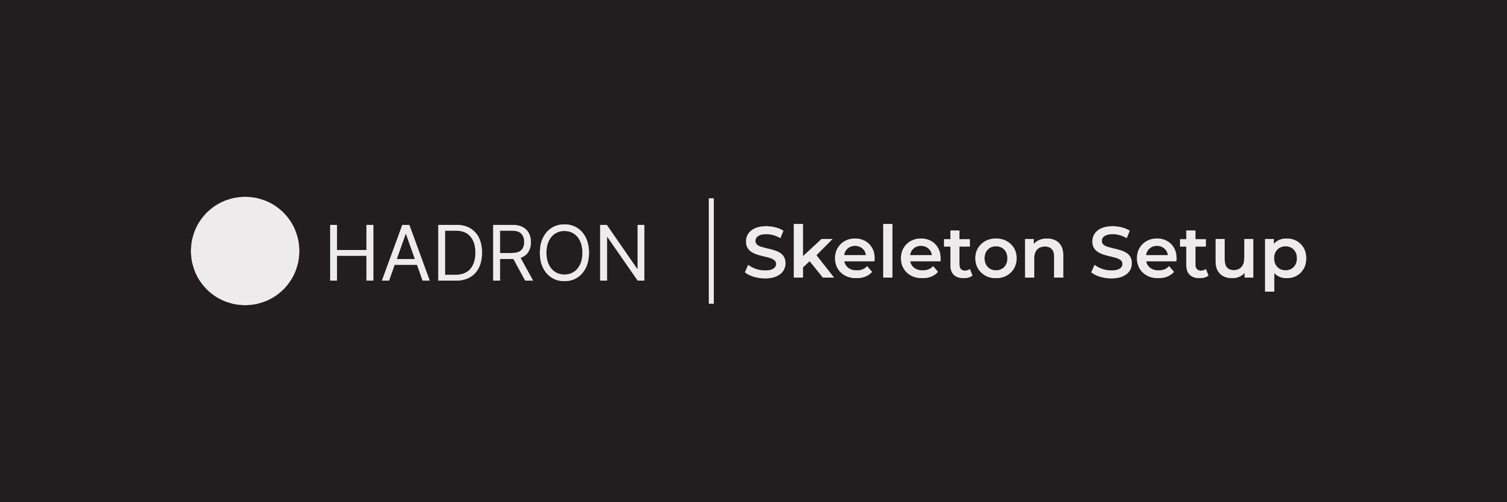 Setup | Hadron Skeleton